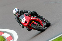 PJ-Motorsport-Photography-2020;anglesey;brands-hatch;cadwell-park;croft;donington-park;enduro-digital-images;event-digital-images;eventdigitalimages;mallory;no-limits;oulton-park;peter-wileman-photography;racing-digital-images;silverstone;snetterton;trackday-digital-images;trackday-photos;vmcc-banbury-run;welsh-2-day-enduro